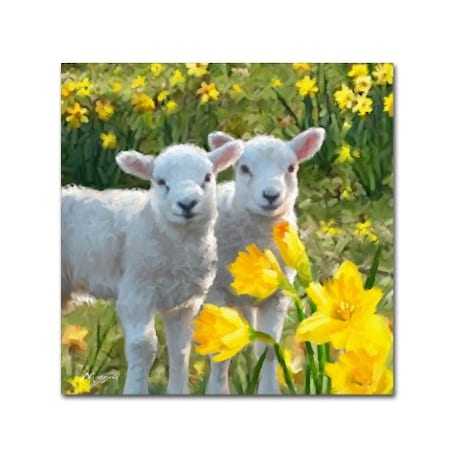 The Macneil Studio 'Lambs' Canvas Art,18x18